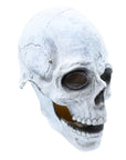 Máscara de Calavera Realista con Mandíbula Abierta