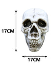 Calavera Realista – Decoración Espeluznante para Halloween