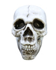 Calavera Realista – Decoración Espeluznante para Halloween